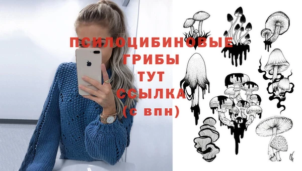 прущие грибы Алзамай