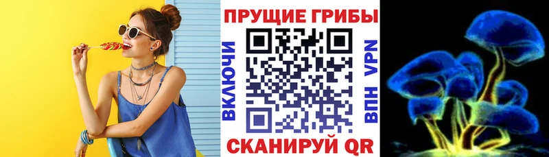 Псилоцибиновые грибы GOLDEN TEACHER  Щигры 